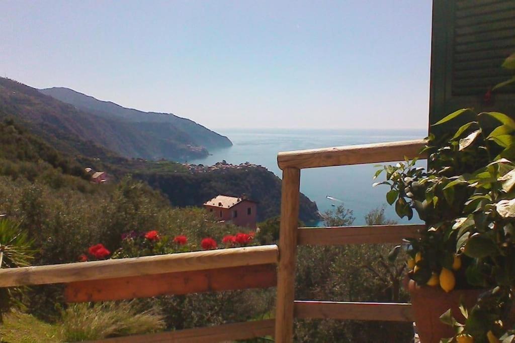 Amazing Flat At The Heart Of 5 Terre National Park Lejlighed Vernazza Eksteriør billede