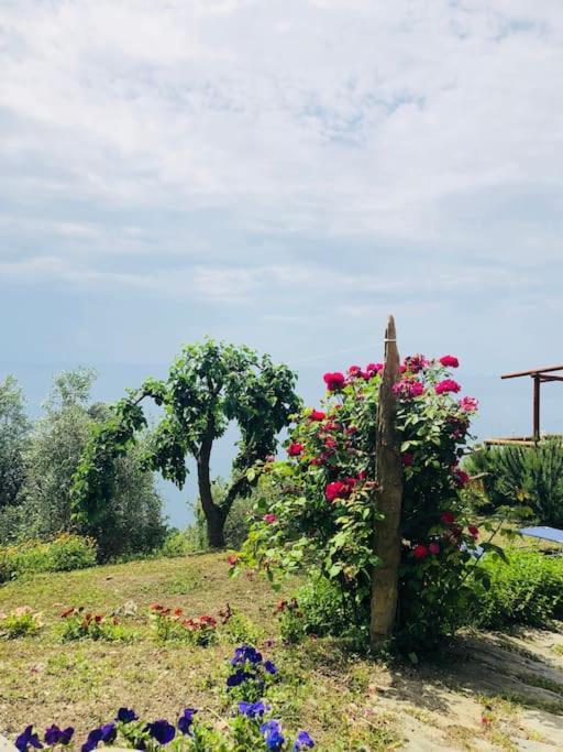 Amazing Flat At The Heart Of 5 Terre National Park Lejlighed Vernazza Eksteriør billede