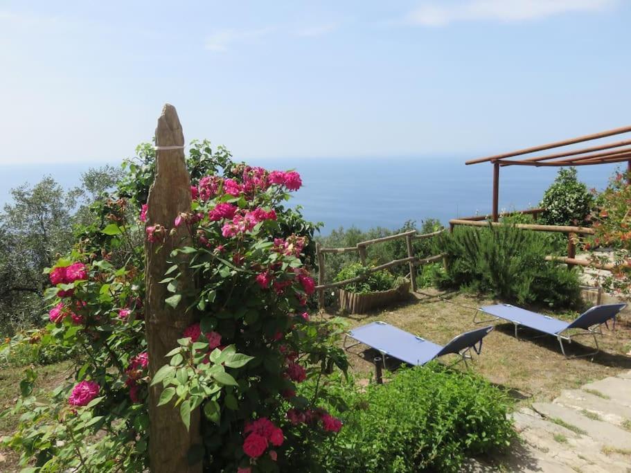 Amazing Flat At The Heart Of 5 Terre National Park Lejlighed Vernazza Eksteriør billede