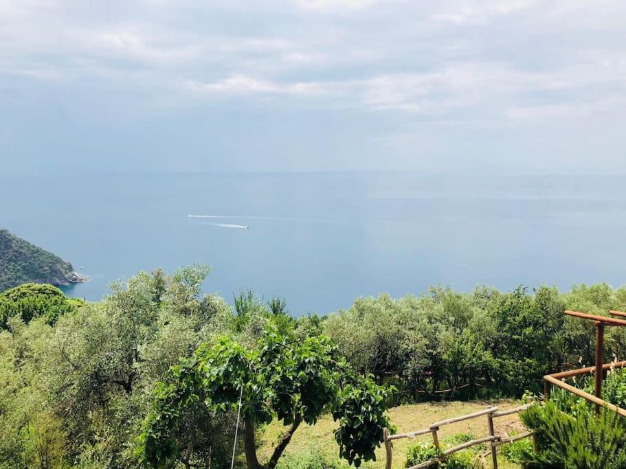 Amazing Flat At The Heart Of 5 Terre National Park Lejlighed Vernazza Eksteriør billede