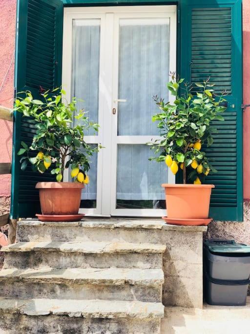 Amazing Flat At The Heart Of 5 Terre National Park Lejlighed Vernazza Eksteriør billede